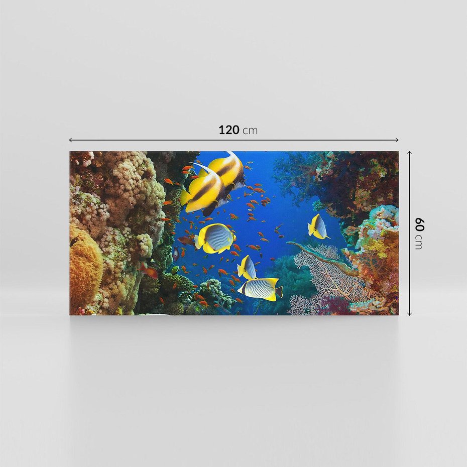 Obraz na płótnie 120x60 - Podwodne królestwo rafy koralowej - rafa, koralowa