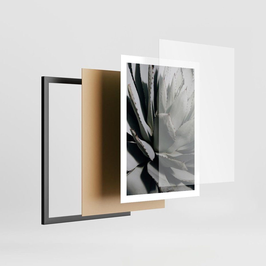 Plakat w ramie 50x70 - Egzotyczny Raj - sukulenty, kaktusy - rama czarna