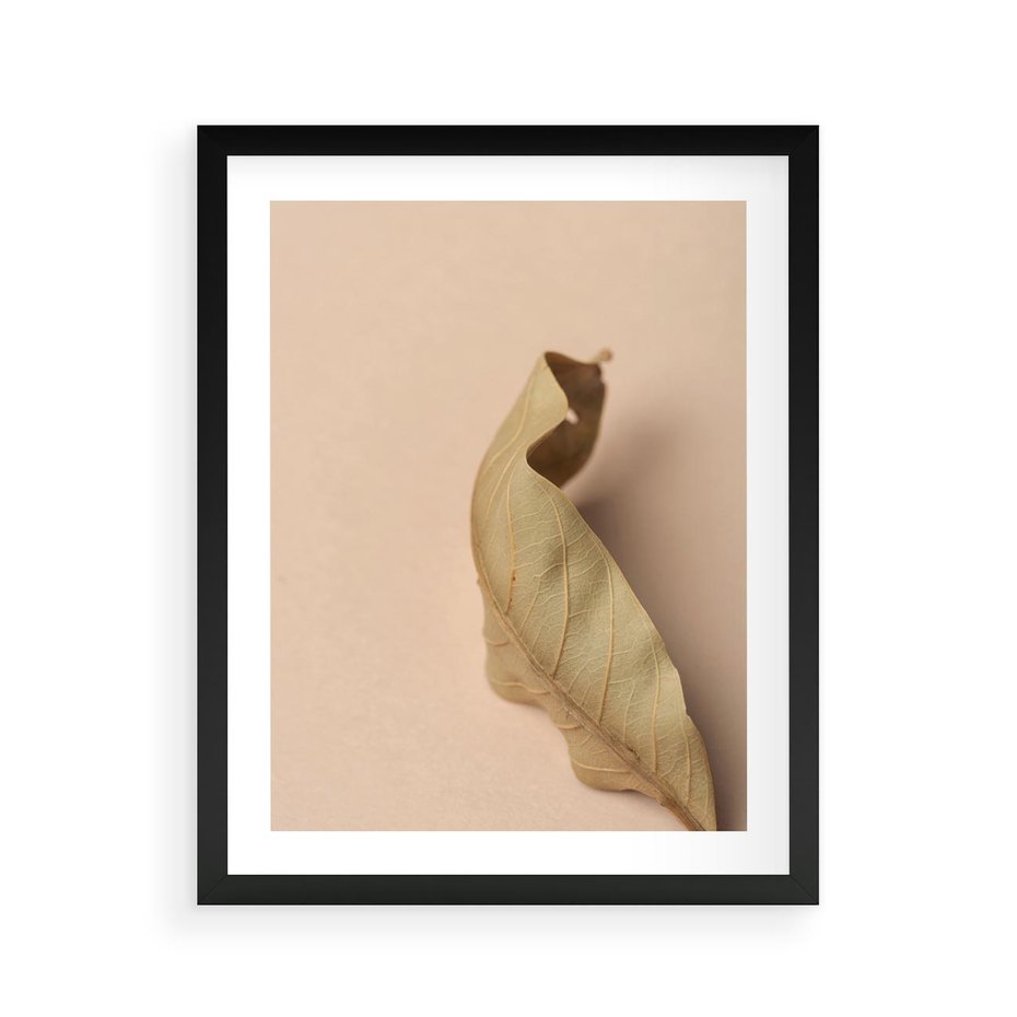 Plakat w ramie 40x50 - Boho suszone liście - suszony, liść - rama czarna