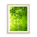 Plakat w ramie 50x70 - Liście w Wodzie - liście, woda - rama drewno