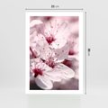Plakat bez ramy 21x30 - Kwitnąca Wiśnia - kwiaty, kwitnąca