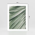 Plakat bez ramy 30x40 - Tropikalna Oaza - zielony liść palmy, zieleń