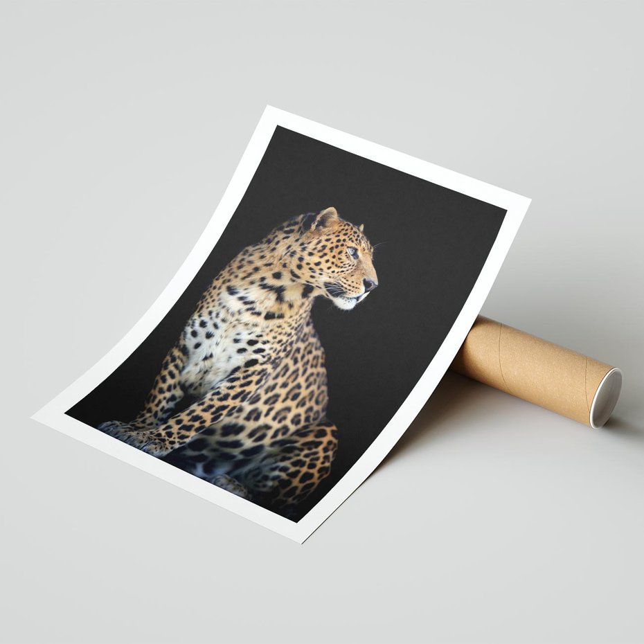Plakat bez ramy 30x40 - Elegancja Jaguarowej Pantery - jaguar, pantera