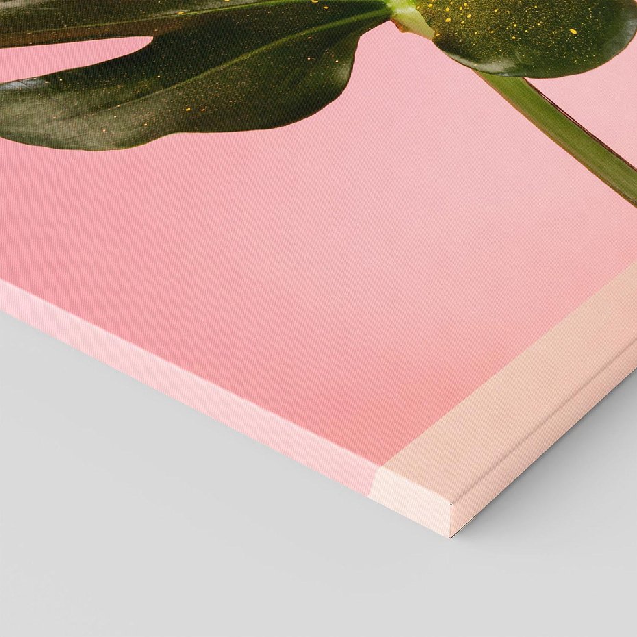 Obraz na płótnie 120x80 - Egzotyczna monstera - monstera, liść