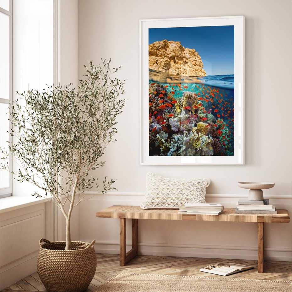 Plakat bez ramy 40x50 - Rafa koralowa w oceanie - rafa, koralowa