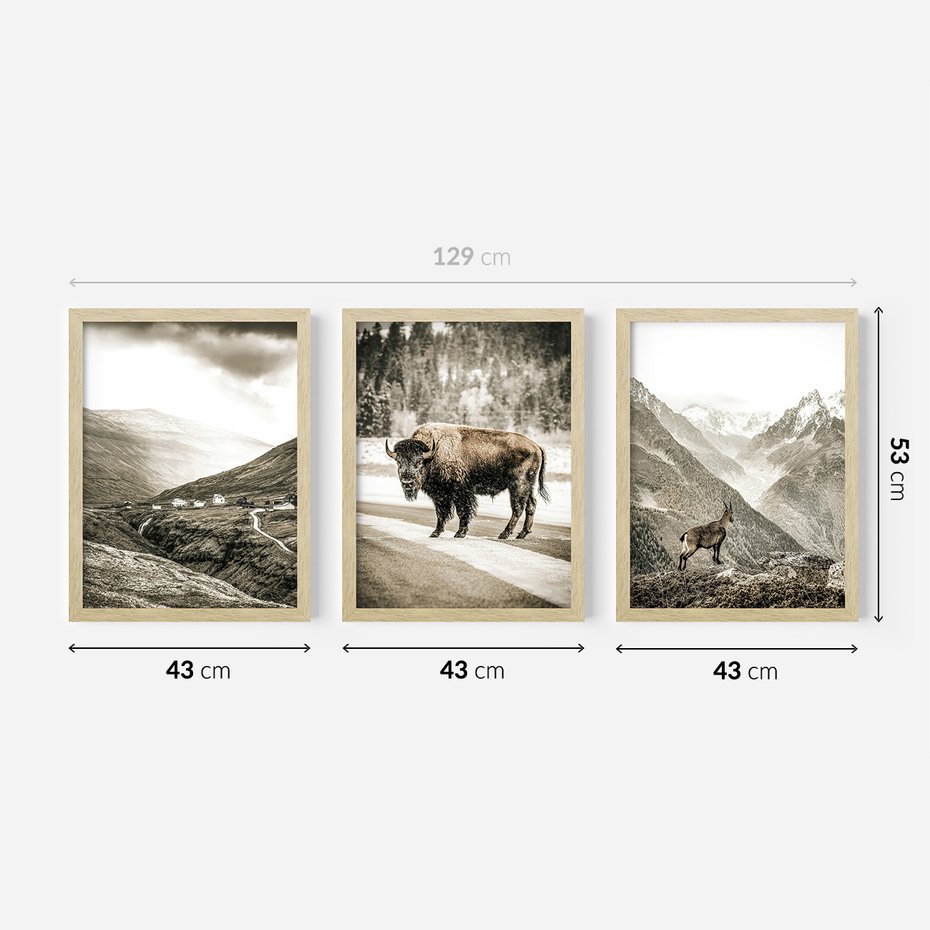 Zestaw obrazy w ramie 40x50 galeria - Góry, bizon, kozica - rama drewno