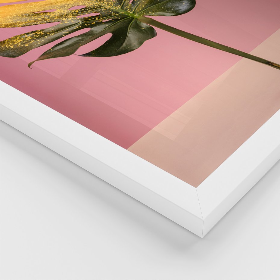 Zestaw obrazy w ramie 40x50 galeria - Monstera, liście, retro, pastele - rama biała