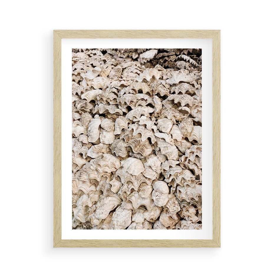 Plakat w ramie 50x70 - Symfonia Natury - kompozycja z białych muszli - rama drewno