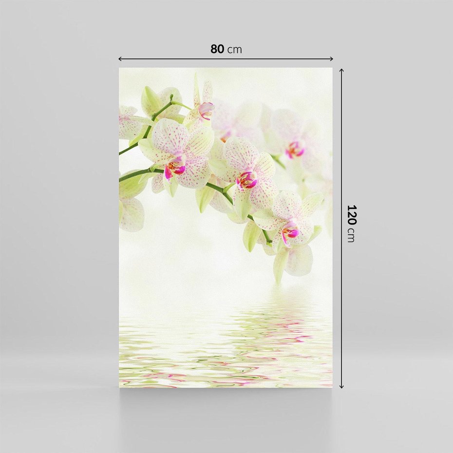 Obraz na płótnie 80x120 - Orchidea w Spa - orchidea, kwiaty