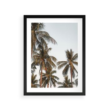 Plakat w ramie 40x50 - Palmy - tęsknota za Hawajami - palmy, Hawaje - rama czarna