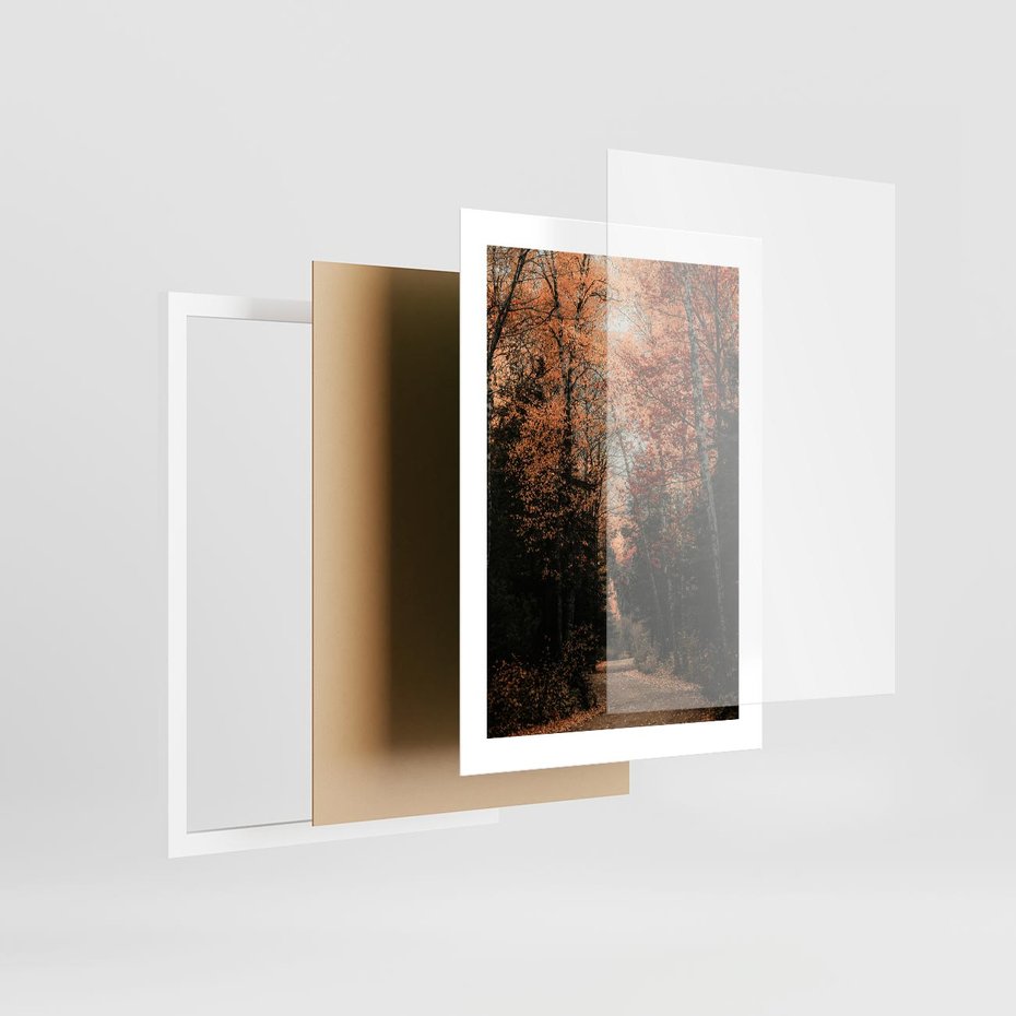 Plakat w ramie 30x40 - Drzewa w Czerwonych Liściach - las, jesienny las - rama biała