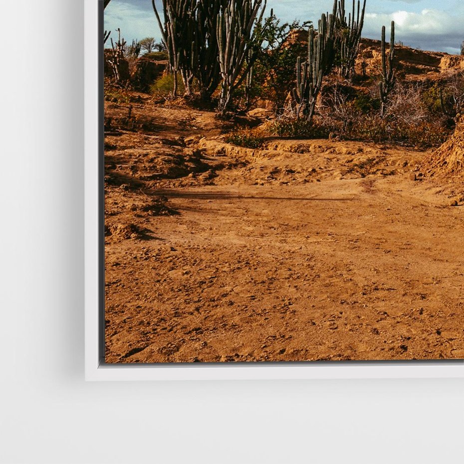 Obraz w ramie 80x80 - Skarby Pustynnego Kanionu - pustynia, kaktusy - rama biała