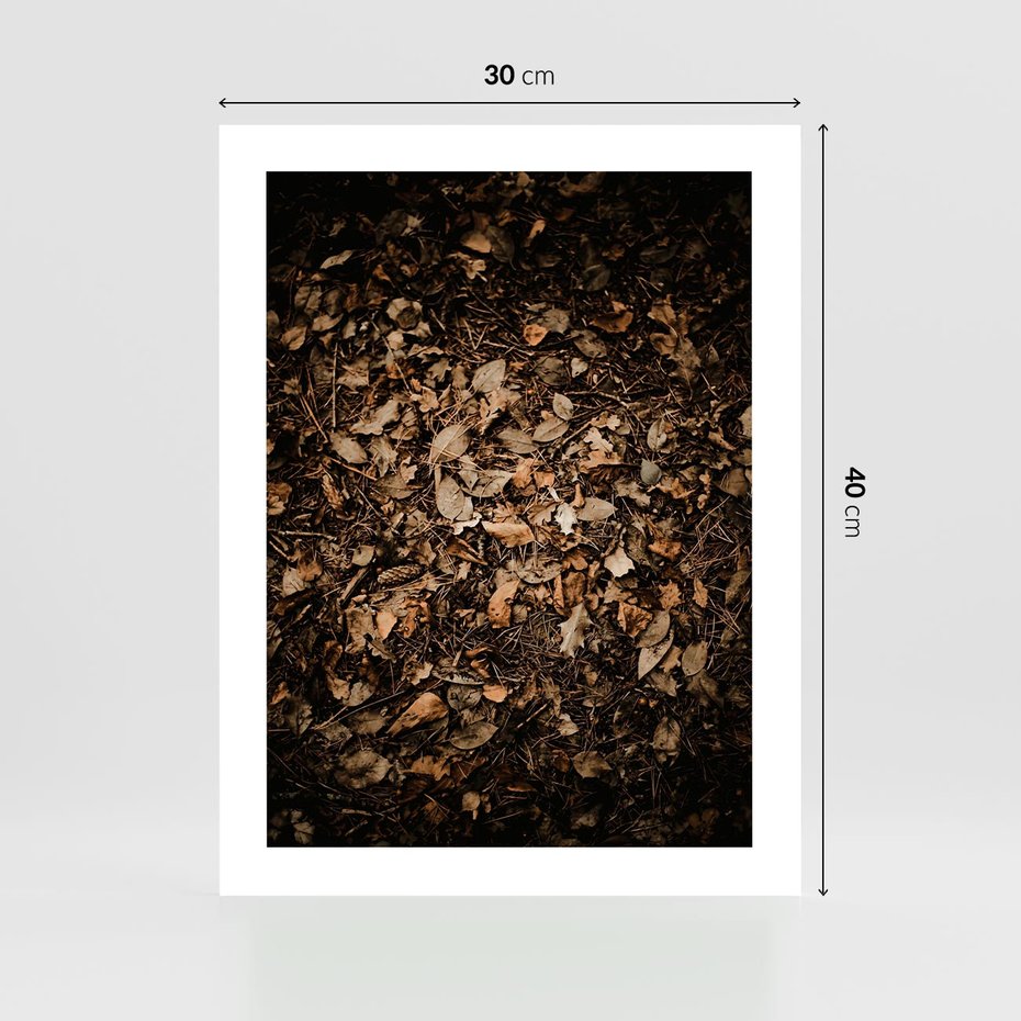 Plakat bez ramy 30x40 - Brązowe Liście w Scenerii - suche liście jesień brąz