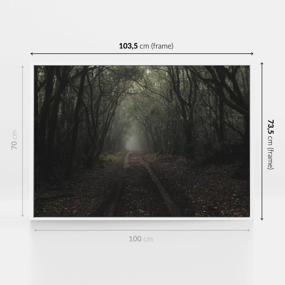 Obraz w ramie 100x70 - Urok Drogi - las, droga - rama biała