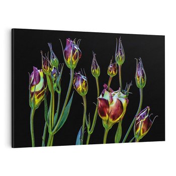 Obraz na płótnie 70x50 - urok kwiatów - kwiat, kwiaty