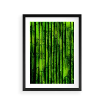 Plakat w ramie 40x50 - Bambusowy urok zielonej harmonii - bambus, zieleń - rama czarna