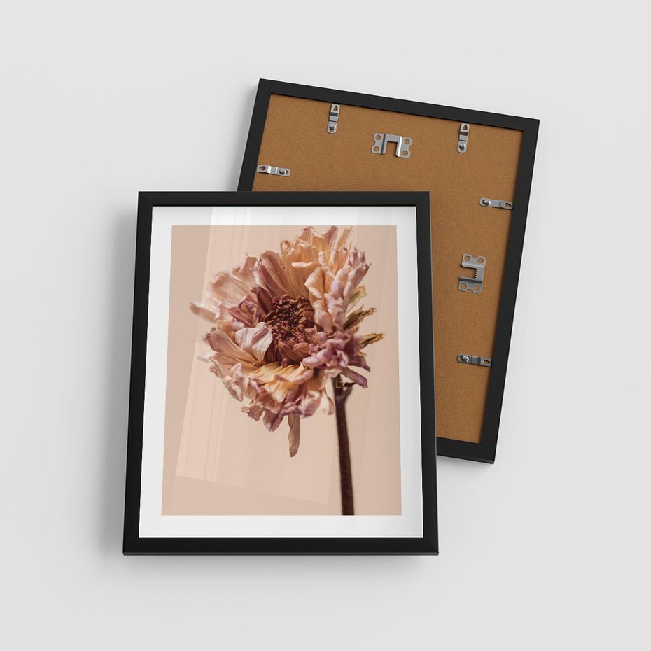 Plakat w ramie 40x50 - Delikatne piękno - suche, kwiaty - rama czarna