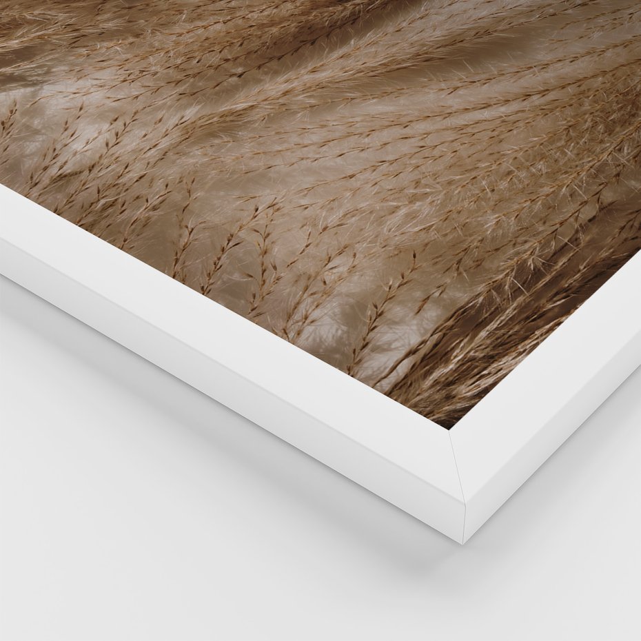 Zestaw obrazy w ramie 40x50 galeria - Boho, suche, kwiaty, trawy - rama biała