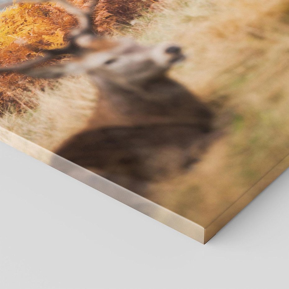 Obraz na płótnie 80x120 - Malownicza Harmonia - jelenie, jesień