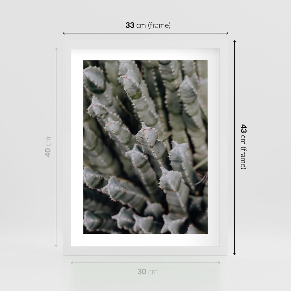 Plakat w ramie 30x40 - Boho kaktusy na pustyni - kaktusy, pustynia - rama biała