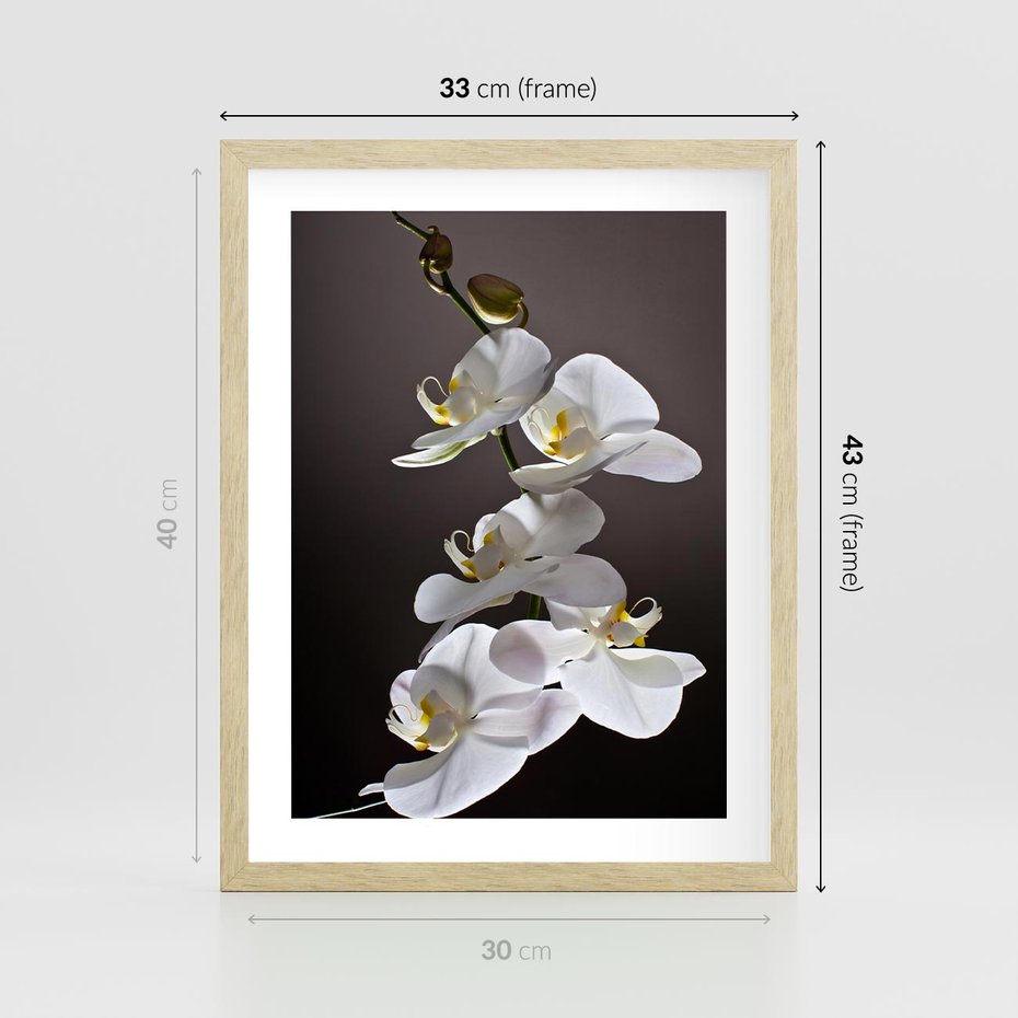 Plakat w ramie 30x40 - SPA: harmonia z kwiatami - spa, kwiaty - rama drewno