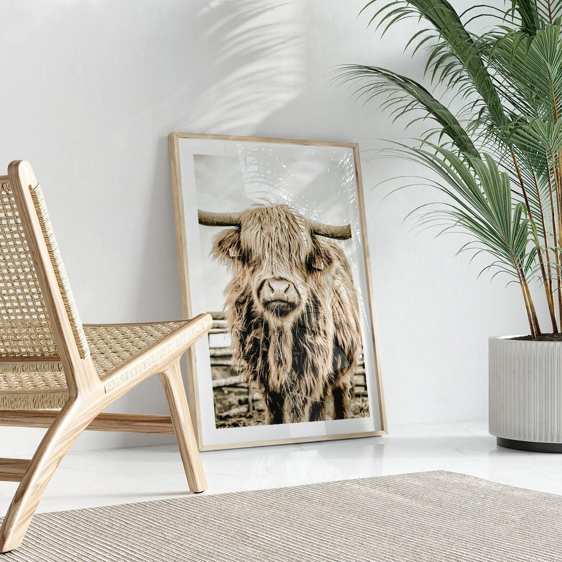 Plakat w ramie 40x50 - Klimat Wiejskiego Życia - amerykańska krowa, byk - rama drewno