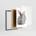 Plakat w ramie 30x40 - Uroczy królik wśród natury - królik, zając - rama czarna