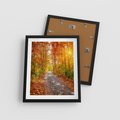 Plakat w ramie 40x50 - Kolorowe drzewa na ścieżce jesieni - las, jesień - rama czarna