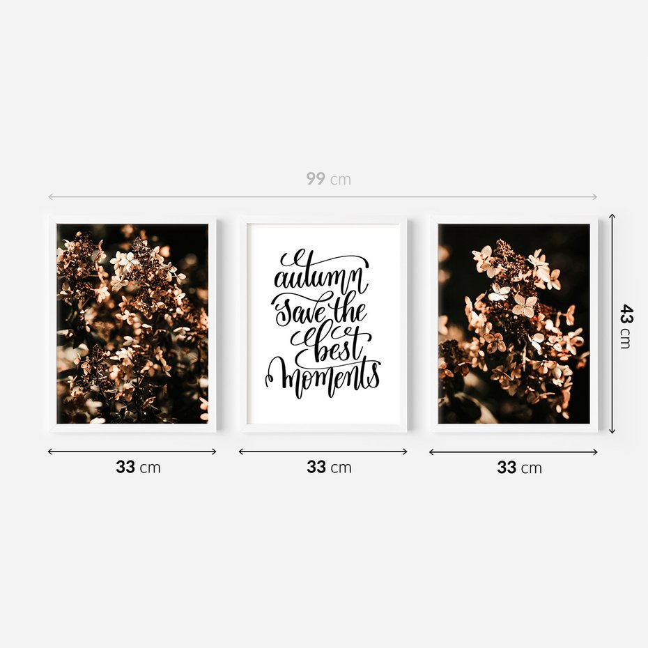Zestaw obrazy w ramie 30x40 galeria - Hortensja, kwiaty, suche, cytat - rama biała