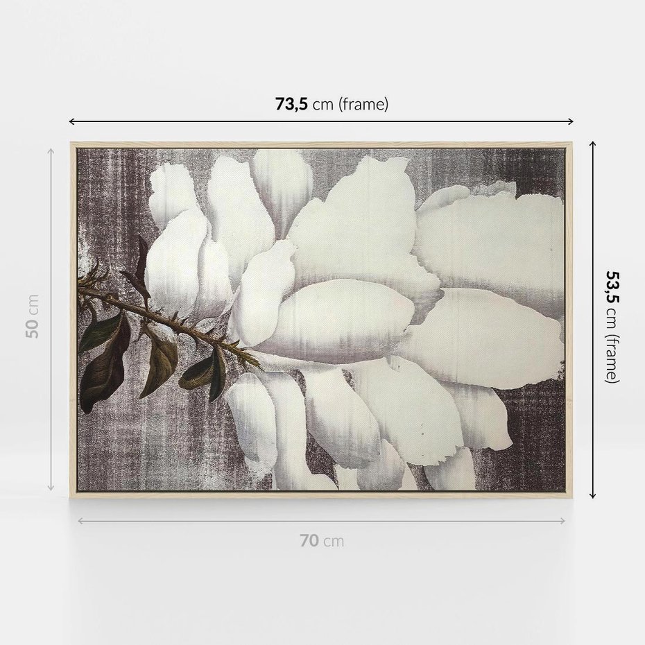 Obraz w ramie 70x50 - Tekstura Kwiatu - białe kwiaty, duży kwiat - rama drewno