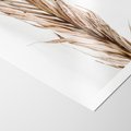 Plakat bez ramy 50x70 - Minimalizm Palmowy: Sucha Uroda - sucha palma, minimalizm
