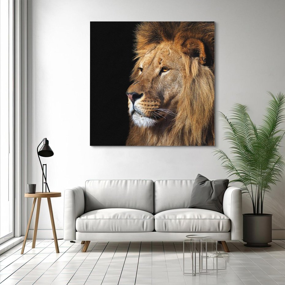 Obraz na płótnie 50x50 - Władca Dzikiej Przyrody - lew, król