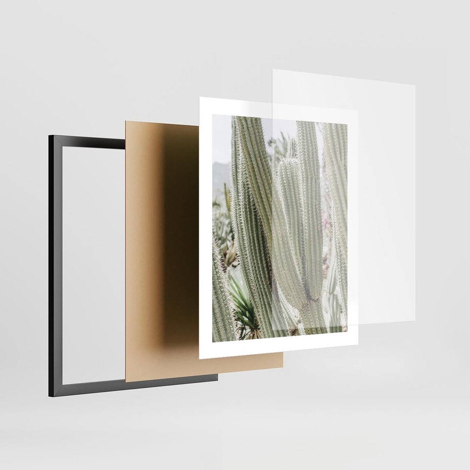 Plakat w ramie 40x50 - Duże Kaktusy w Pejzażu - kaktus, duże kaktusy na pustyni - rama czarna
