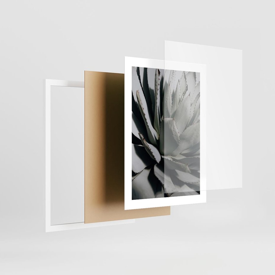 Plakat w ramie 30x40 - Sukulenty wśród kaktusów - sukulenty, kaktusy - rama biała