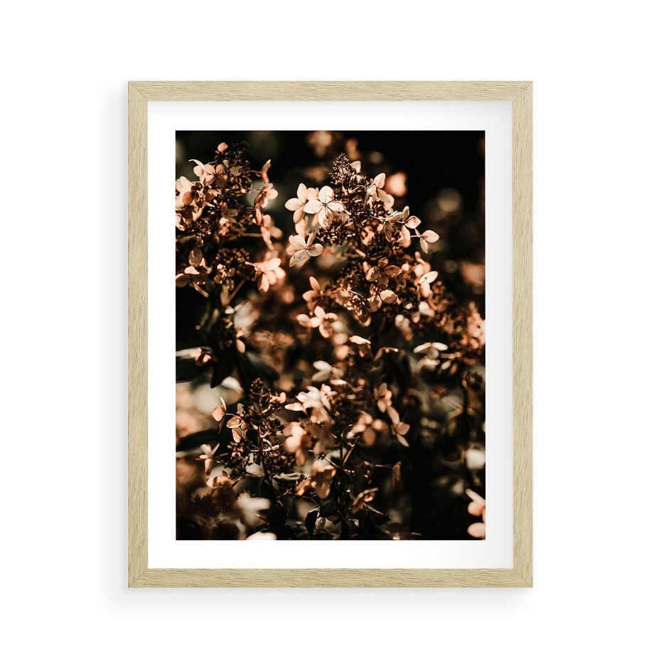 Plakat w ramie 40x50 - Sucha Kompozycja Kwiatów - suche kwiaty hortensji - rama drewno