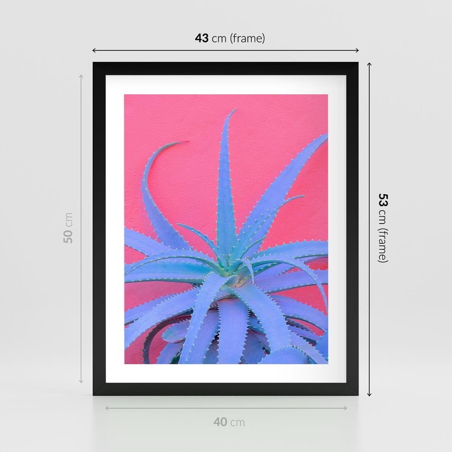Plakat w ramie 40x50 - Piękno Pustyni - kaktusy, liście - rama czarna