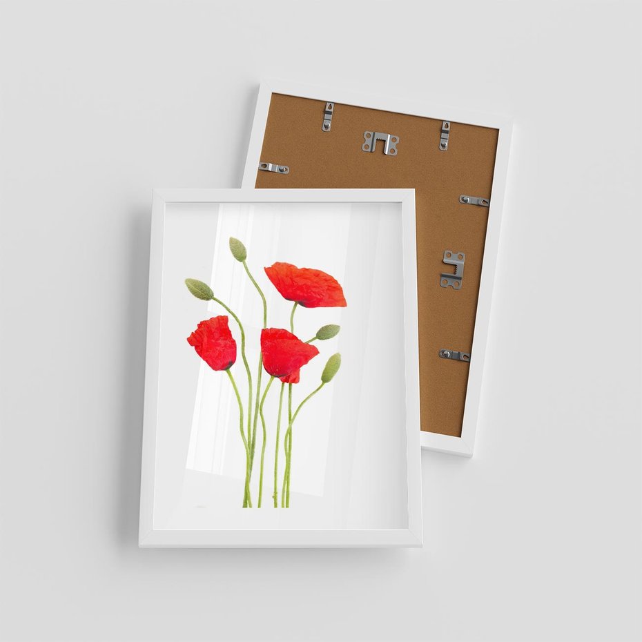 Plakat w ramie 30x40 - Pola maków w pełnym kolorze - maki, kwiaty - rama biała