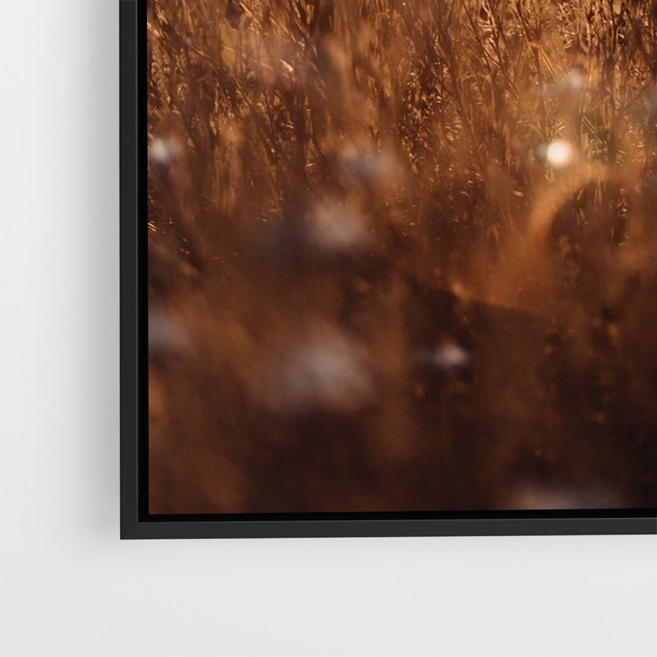 Obraz w ramie 70x100 - Zachwyt zachodem słońca na łące - zachód, słońca - rama czarna