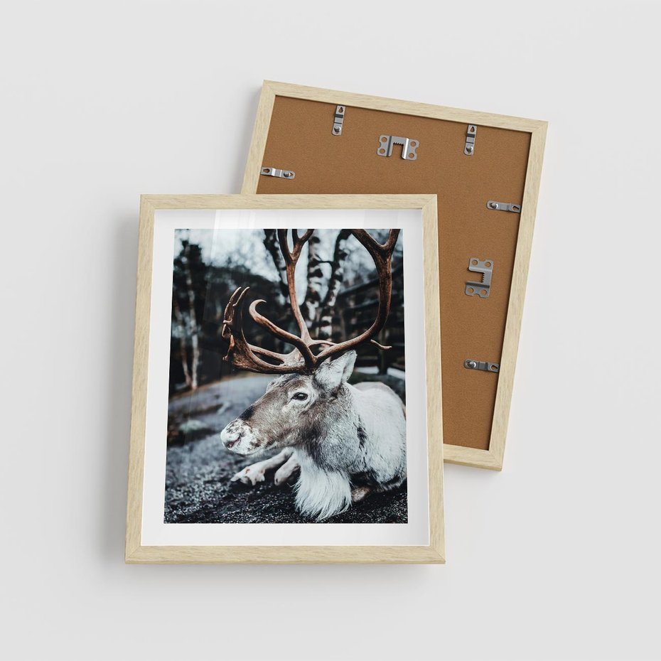 Plakat w ramie 40x50 - W Zimowej Krainie - renifer, zima - rama drewno