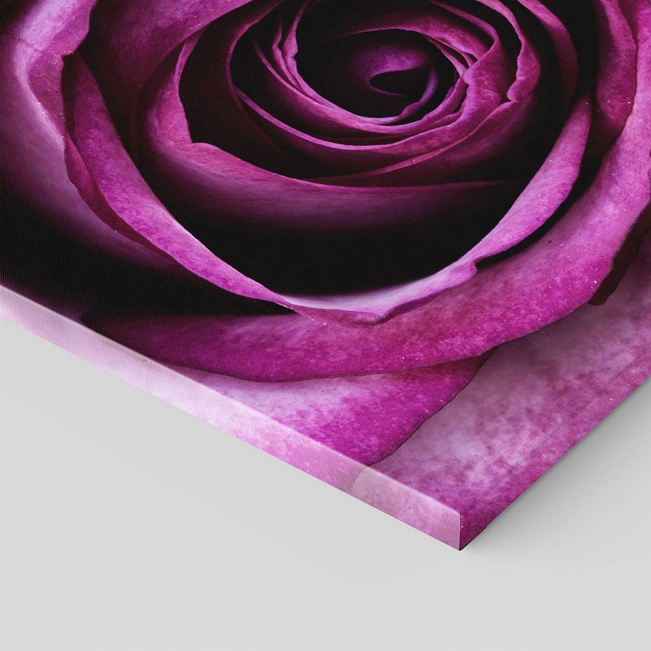 Obraz na płótnie 50x50 - piękno w delikatności - róża, kwiat