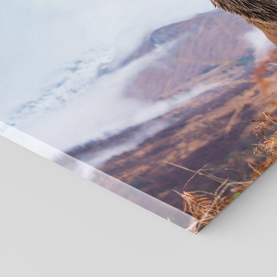 Obraz na płótnie 70x50 - Jeleń w Uśpionym Krajobrazie - jeleń na tle gór, ośnieżone góry