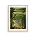 Plakat w ramie 30x40 - harmonia natury - las, drzewa - rama drewno