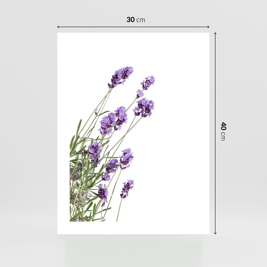 Plakat bez ramy 30x40 - Delikatny Urok - lawenda, kwiaty