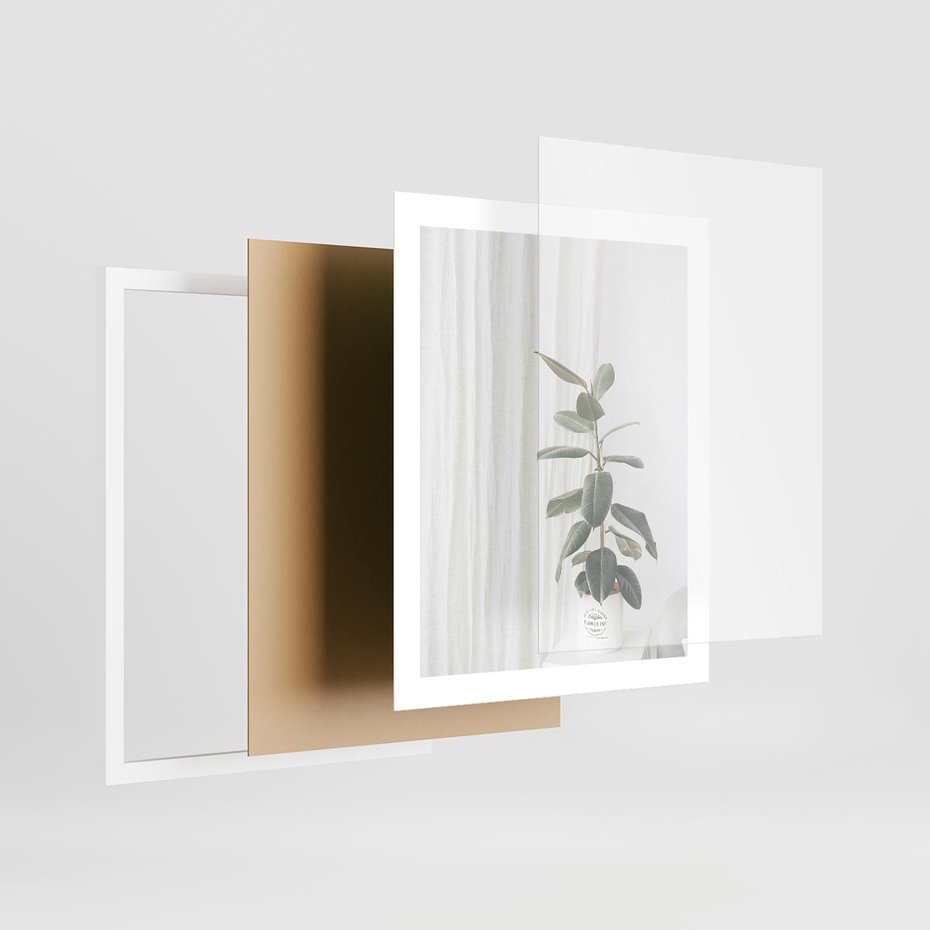 Plakat w ramie 40x50 - Kwiat w Bieli - kwiat w doniczce, białe wnętrze - rama biała