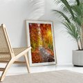 Plakat w ramie 30x40 - Kolorowe drzewa na ścieżce jesieni - las, jesień - rama drewno