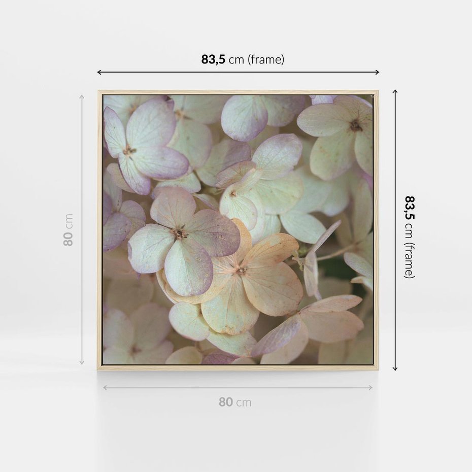 Obraz w ramie 80x80 - Kwiatowy taniec - kwiaty, hortensje - rama drewno