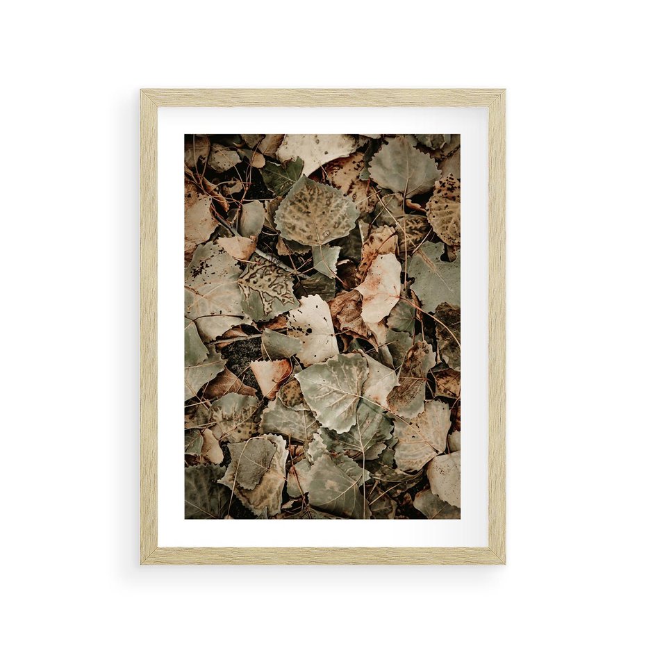 Plakat w ramie 30x40 - Magia Jesiennych Liści - liście, suche liście - rama drewno