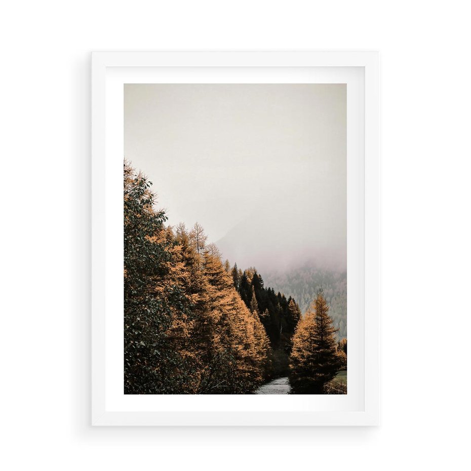 Plakat w ramie 50x70 - Kolorowa Jesień w Górskim Lesie - las, jesień - rama biała