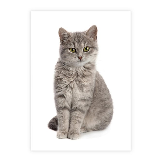 Plakat bez ramy 21x30 - Kocie uroki na płótnie - kot, kotek