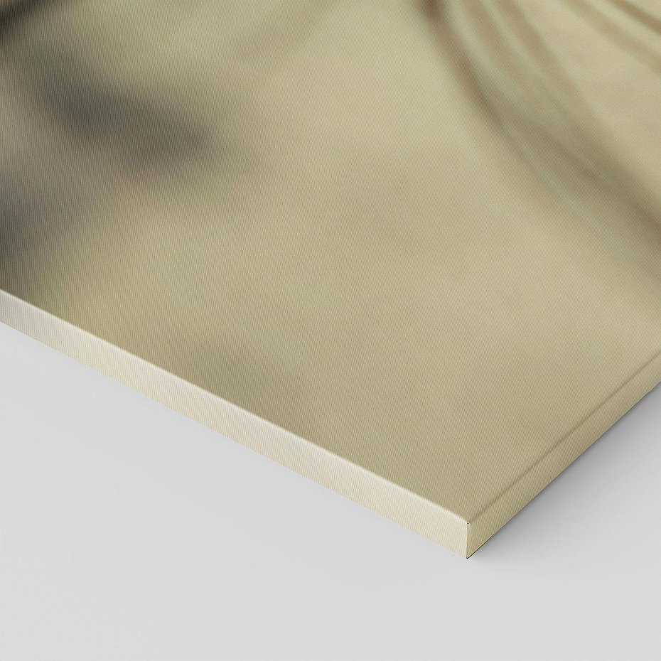 Obraz na płótnie 120x60 - Delikatność dmuchawców - dmuchawce, krople